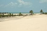 mangue seco from salvador in salvador 35930 World Tours 26