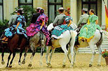 jerez and cadiz day trip from seville in seville 18481 World Tours 29