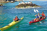 3 Bay Cruzade from Los Cabos