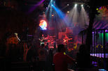 Rhythm of the Los Cabos Night