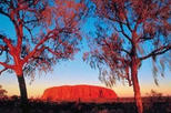 2 day uluru ayers rock camel farm and kata tjuta trip from alice in alice springs 39806 World Tours 34