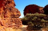Save 41%: Kings Canyon Day Trip from Ayers Rock by Viator