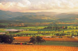 Save 20%: Yarra Valley Wineries and Puffing Billy Steam Train Day Tour from Melbourne by Viator