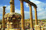 Private Half Day Jerash and Amman City Sightseeing Tour - Local City Tour