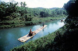 Bamboo River Rafting on the Martha Brae from Montego Bay