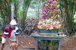 Croydon Plantation, Jamaica