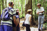 Gold Coast 4WD Eco Outback Tracks Tour