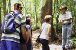 Gold Coast 4WD Eco Outback Tracks Tour
