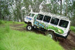 Gold Coast Lamington National Park and Tamborine Mountain 4WD Eco Tour
