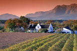 stellenbosch franschhoek and paarl valley wine tour