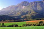 Stellenbosch Wine Tour from Cape Town