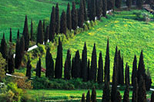 Assisi and Orvieto Day Trip from Rome