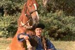 Full Day Tour to the Puszta - The Southern Great Plain and Kecskemet