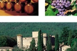 Private Afternoon Tuscany Tour to the Chianti Region with Wine Tasting and Dinner from Florence