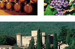 Private Tour: Chianti Region Wine Tasting