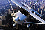 Los Angeles Shore Excursion: Pre- or Post-Cruise Deluxe Champagne Airplane Tour 