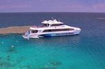 Outer Great Barrier Reef Dive and Snorkel Cruise from Palm Cove
