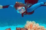 Outer Great Barrier Reef Dive and Snorkel Cruise from Port Douglas