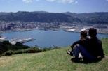 Wellington City and Coastline Tour
