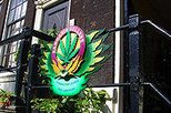 Amsterdam Cannabis Walking Tour