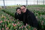 Holland Tulips and Windmills Day Trip from Amsterdam