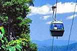 Skyrail Rainforest Cableway Day Trip from Port Douglas