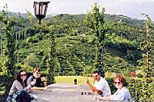 Hill Towns of Veneto Tour from Venice, Venice, Day Trips