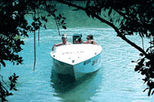 Safari Snorkel Adventures