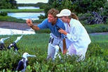 Barbuda Day Tour