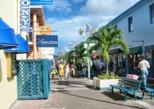 City of St. John's Sightseeing Tour