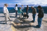 Blue Mountains High Country Luxury Small Group Ecotour