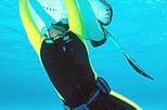 Grand Cayman One or Two Day Tank Dive