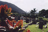 Orbs of Oahu Ghost Night Tour