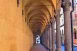 Bologna's Porticoes Private Walking Tour