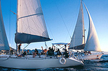 Day Sailing on Banderas Bay