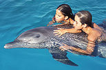 Nuevo Vallarta Dolphin Encounter