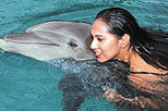 Nuevo Vallarta Dolphin Swim Experience