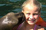 Nuevo Vallarta Sea Lion Encounter