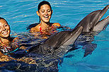 Nuevo Vallarta Signature Dolphin Swim