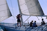 Sailing with Whales on Banderas Bay