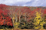 Bear Mountain Full-day Cruise
