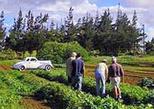 Merriman's Culinary and Farm Adventure