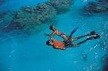 Bora Bora Sharkfeeding, Lagoonarium and Picnic