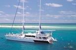 Michaelmas Cay Sailing Reef Cruise aboard luxury catamaran from Cairns