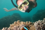 Outer Great Barrier Reef Dive and Snorkel Sailing Cruise from Palm Cove
