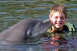Overnight Swim with Dolphins and Everglades Airboat Adventure