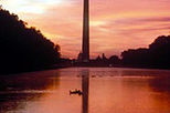 Mount Vernon/Washington After Dark Dinner Combo