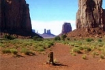 4 Day Canyons and National Parks Tour