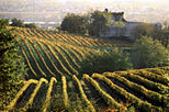 Bordeaux Wine Day Trip