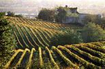 Bordeaux Wine Day Trip